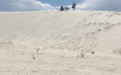 Surfing the Sands of time in White Sands, New Mexico