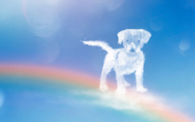 There’s Got to be a Mourning After