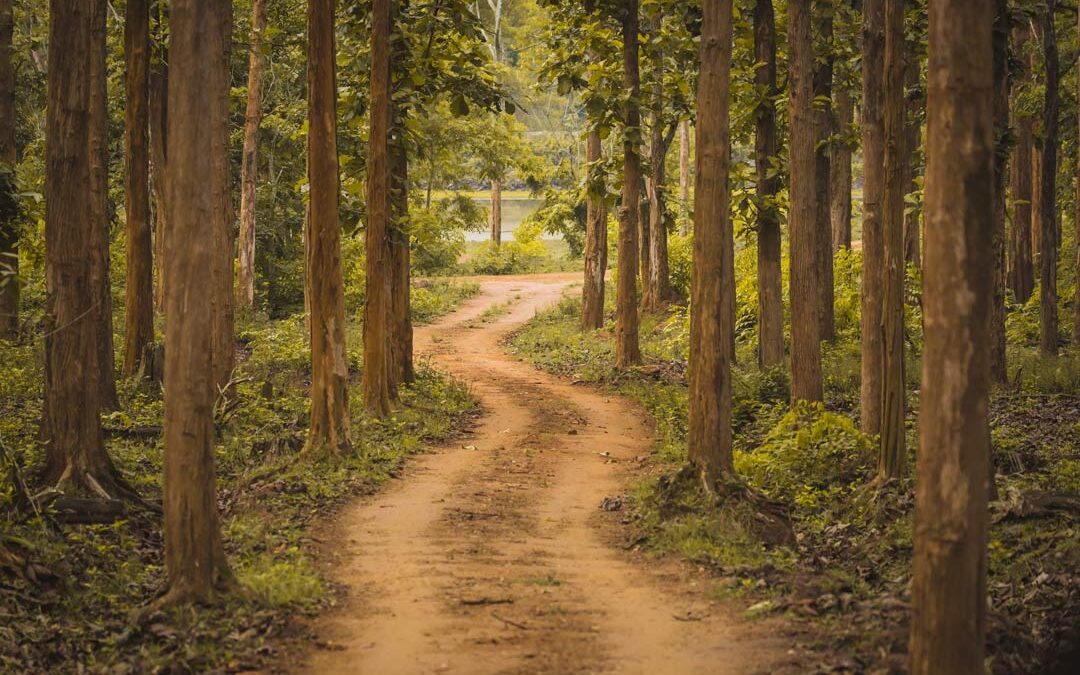 The Road to Redemption