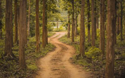 The Road to Redemption